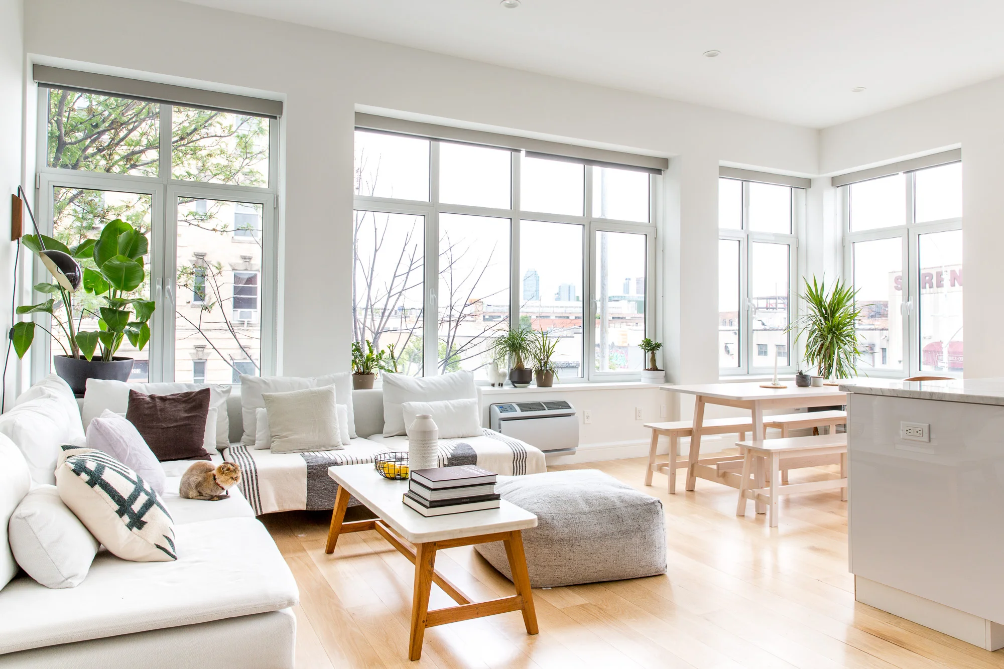 Bright, freshly cleaned living space in an Alpharetta home